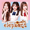elephant cafe プリンス 札幌