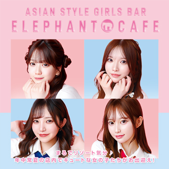 elephant cafe