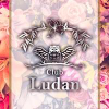 Club　Ludan