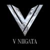 V-niigata-