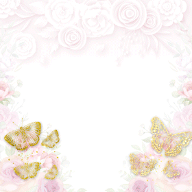 Chou Chou akihabara・シュシュ秋葉原店