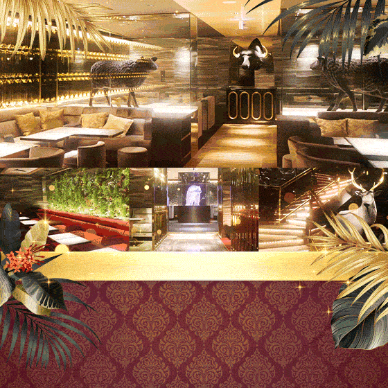 ポケパラオススメ店舗 CLUB ZOO TOKYO