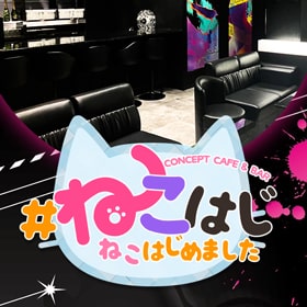 コンセプトカフェ&バー　ねこはじめました