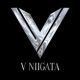 V-niigata-