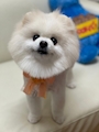 chiko