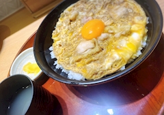 神流 れい