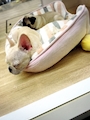 chiko