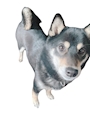 chiko