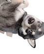 chiko
