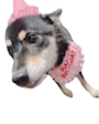 chiko