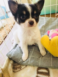 星野 さえ「おやすみなさい❤」