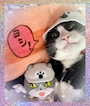 chiko