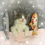 chiko