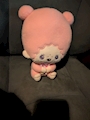chiko