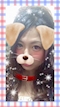 プロフィール写真9・✨広瀬 奈美✨｜L・エル - 中洲のスナック