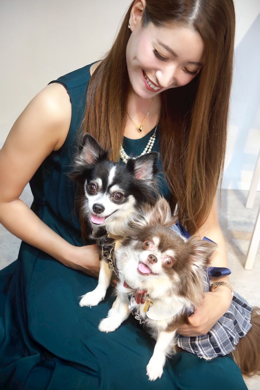 お犬様 登坂 えり 豊橋 ニュークラブ フォーシーズンズ ポケパラ