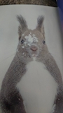 chiko