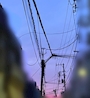chiko