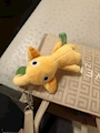chiko