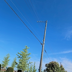 相澤  きお「🌤️😃🎐」