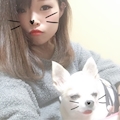 女の子の名前