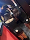 プロフィール写真3・みかぱん|Queen Bee・クイーンビー - 苦竹のガールズバー