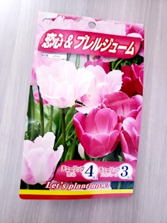 💜❤️まいか❤️💜