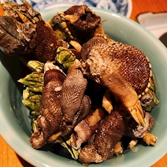 アサヒ　美嘉「かめのてー！」