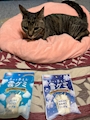 chiko