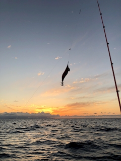 プロフィール写真3・まや｜mrs.J 錦・ミセスジェイ ニシキ - 名古屋 錦の熟女パブ/熟女キャバクラ