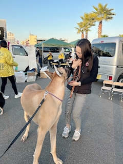 恋音「13.12.2023」