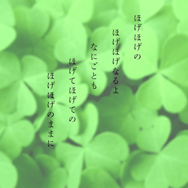 キャスト写真 🦋松 本 い よ 🦋