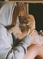 chiko