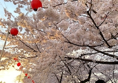 🌼りなママ🌼