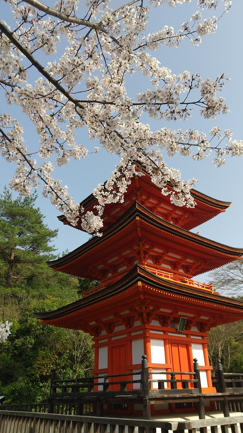 暑いーっ なつき 新宿 歌舞伎町 熟女キャバクラ Mrs J ポケパラ