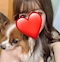 プロフィール写真11・六條 あゆ|Girls bar MILLION・ミリオン - 名古屋 名駅のガールズバー