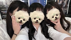 神田ノンノンスタッフ「＼キャストさん大募集中／期間限定で入店祝い金MAX20万円支給✨」