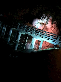 店長「5月6日(月)はお休みです！」