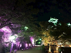 店長「5月6日(月)はお休みです！」