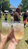 新着ブログ 5.17