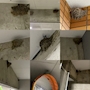 新着ブログ 雷が鳴り始めてます🌩️