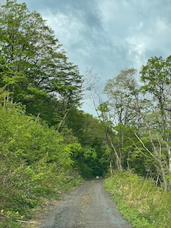 🦚代表🦚たかボス🐈わむら🌳✨🌳