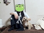 chiko