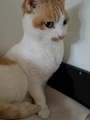 女の子
