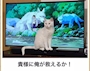 女の子