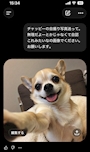 chiko