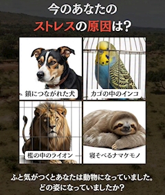ももか。