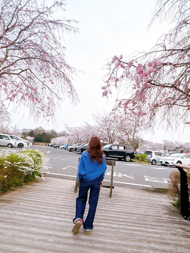 プロフィール写真1・✧ ✧ジェシ✧ ✧｜