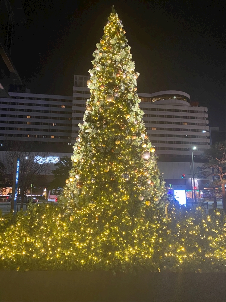 クリスマスまで1週間 国咲 のあ 中洲 スナック キャラウェイ ポケパラ