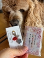 chiko